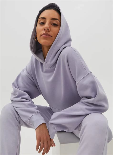 aritzia oversized hoodie.